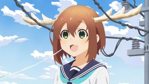 Shikanoko Nokonoko Koshitantan – The Brainrot is here!